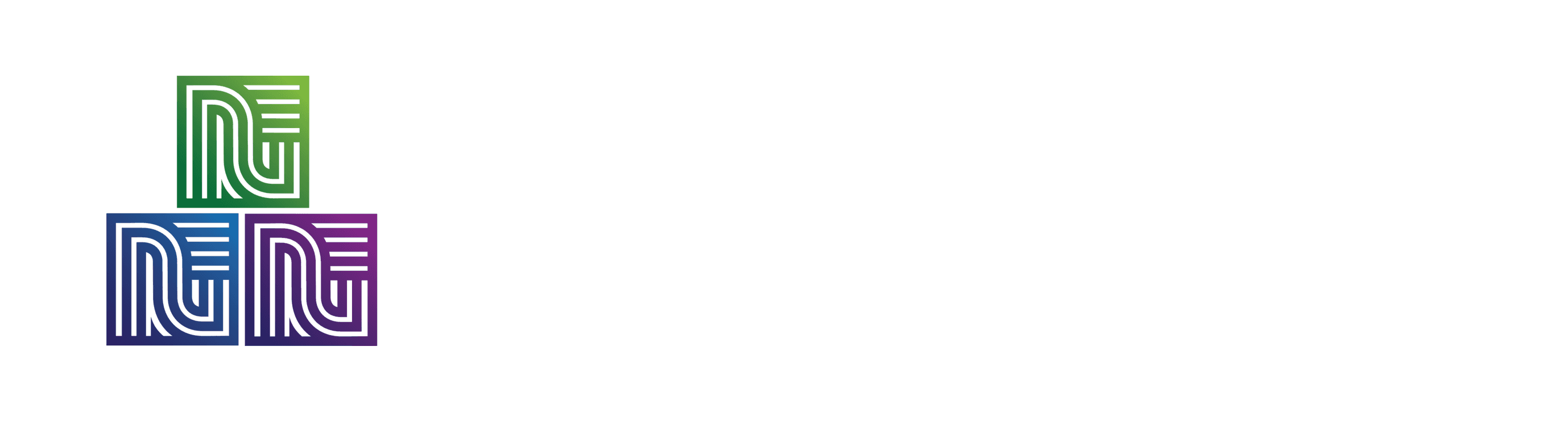 Nouveau FS Group